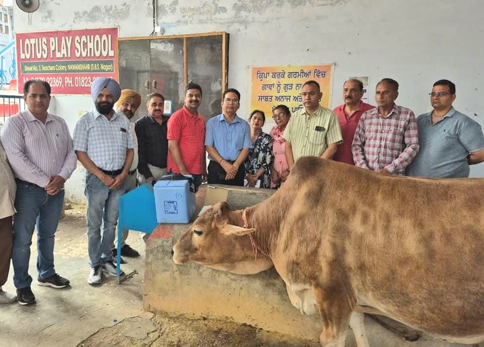 Animal Husbandry Department launched Foot and Mouth Disease vaccination campaign at Shri Banke Bihari Gaushala.